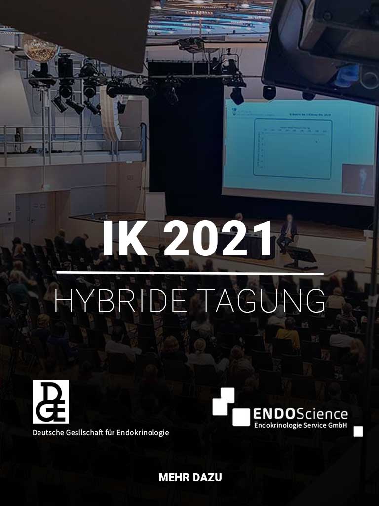 Titelbild für Referenzprojekte - IK-2021-Hybride-Tagung